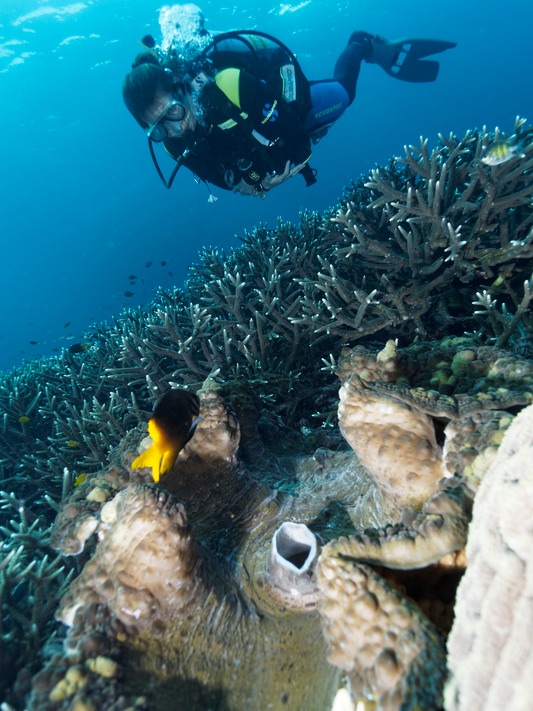 Raja Ampat32_4270819